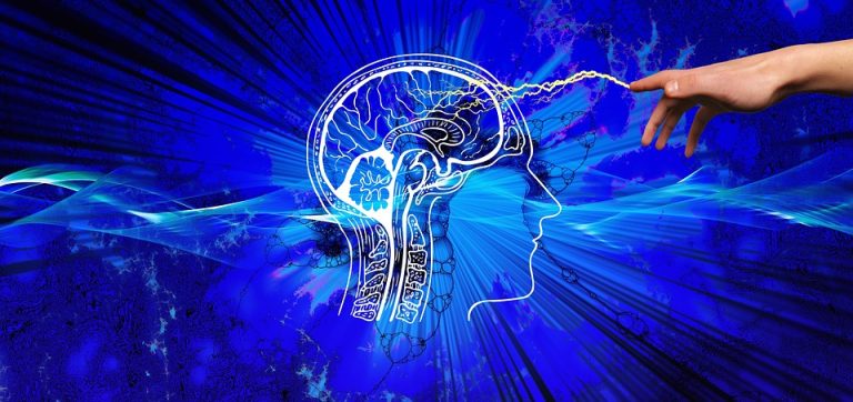 El neuromarketing